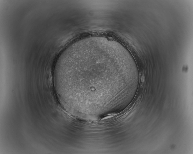 X0000101151252200807110958