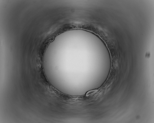 X0000101151253200807110958