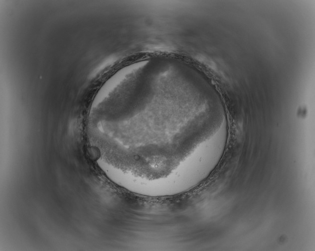 X0000101151254200807110958