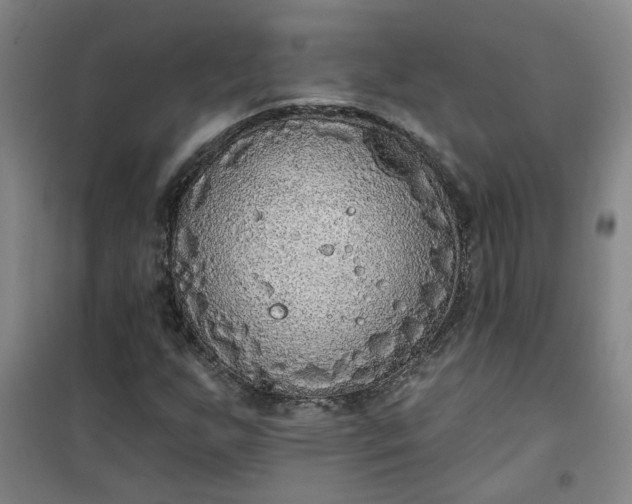 X0000101151255200807110958