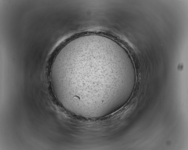 X0000101151256200807110957