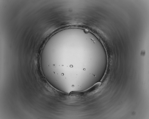 X0000101151257200807110957