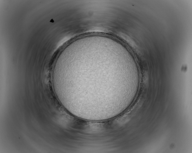 X0000101151258200807110957