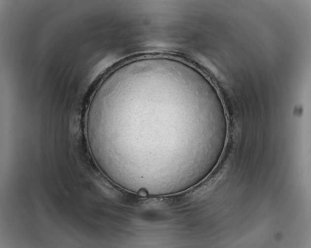 X0000101151259200807110957