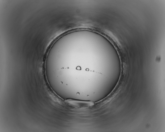 X0000101151260200807110957