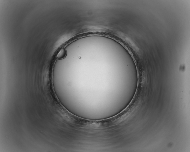 X0000101151261200807110957