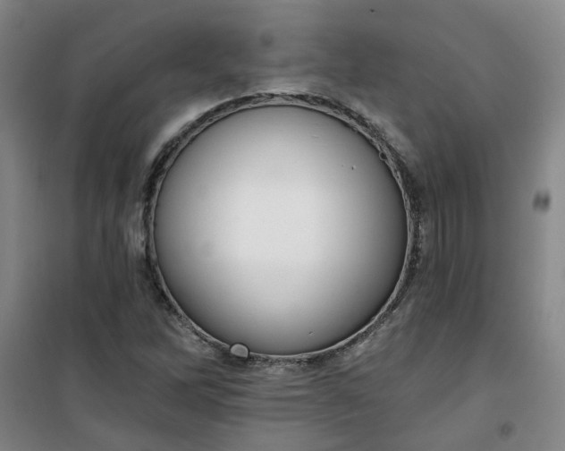 X0000101151262200807110957