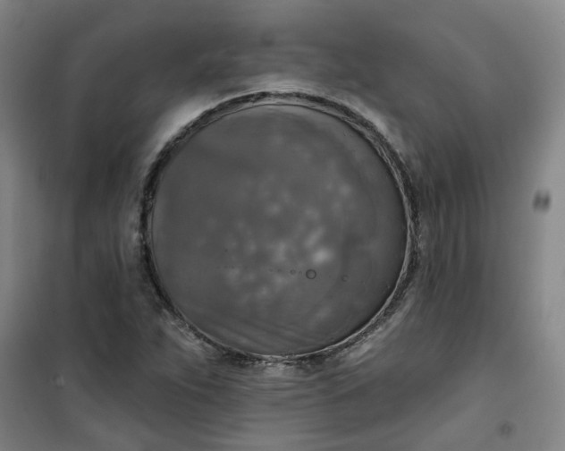 X0000101151263200807110957