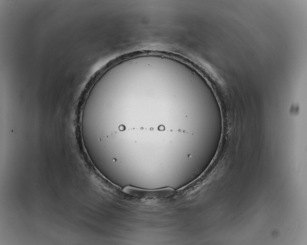 X0000101151264200807110957