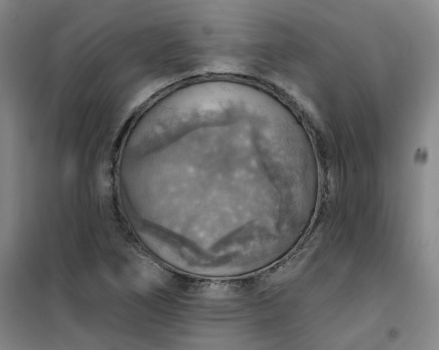 X0000101151266200807110957