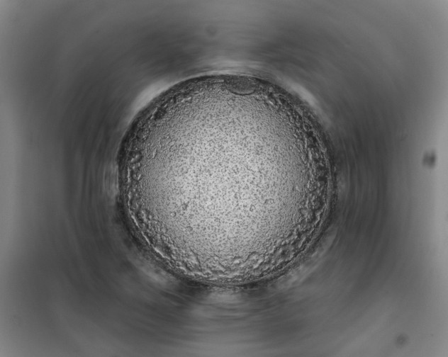 X0000101151267200807110957