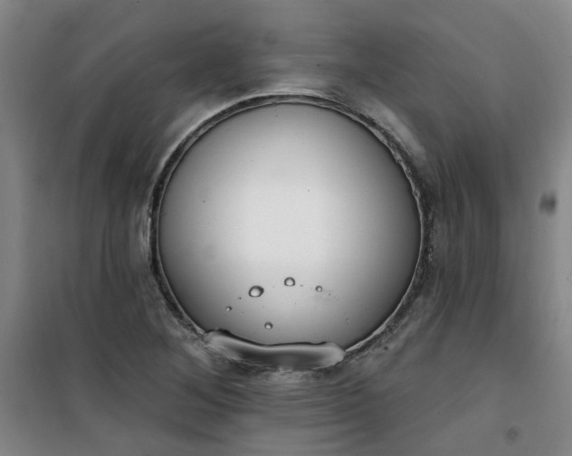 X0000101151268200807110957