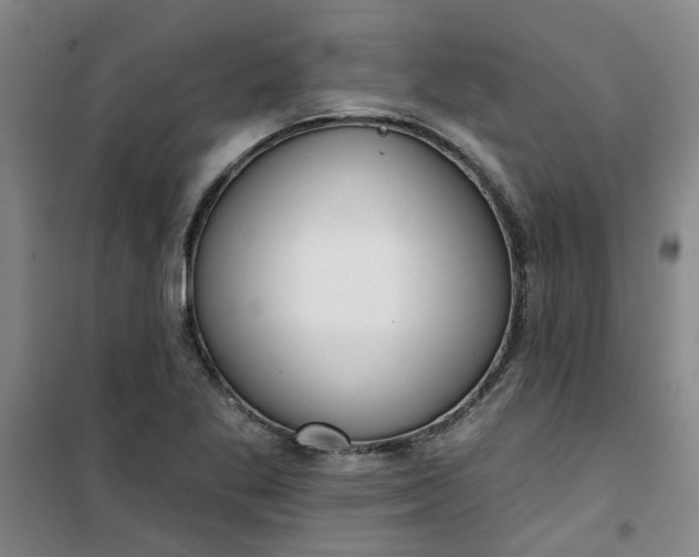 X0000101151269200807110957