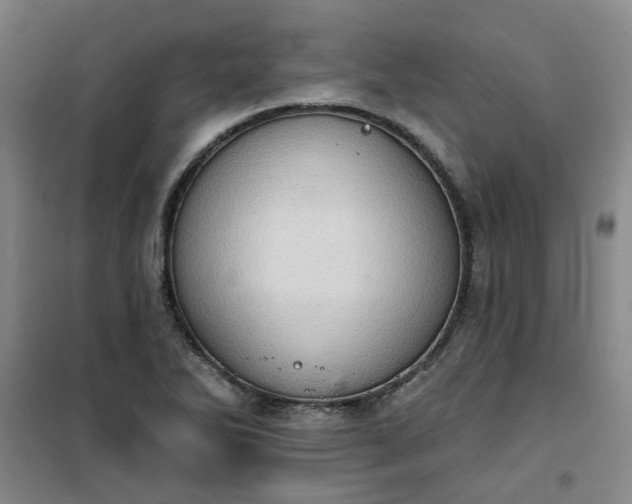 X0000101151270200807110957