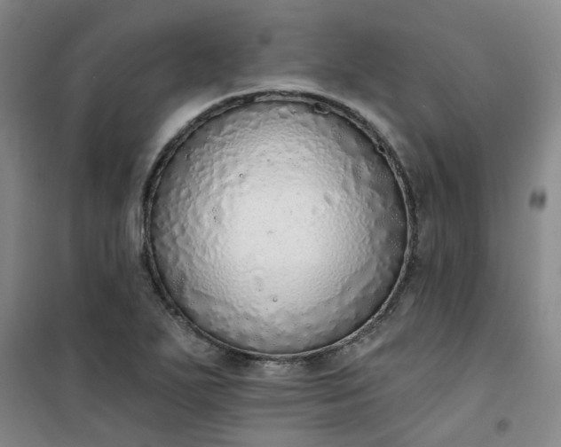 X0000101151271200807110957