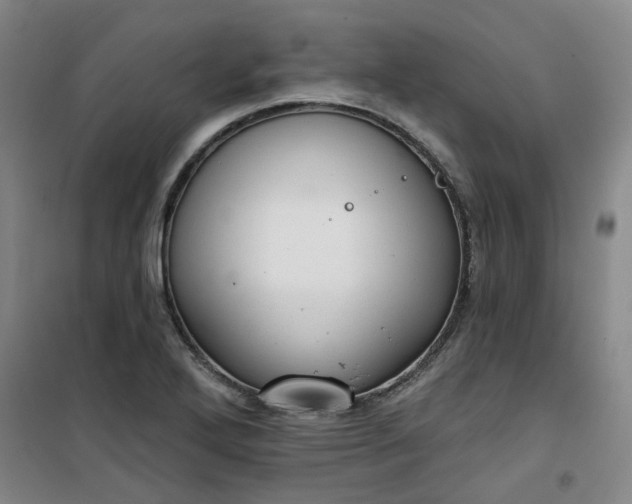 X0000101151272200807110957