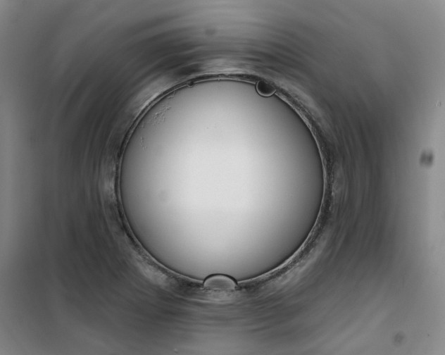 X0000101151273200807110957