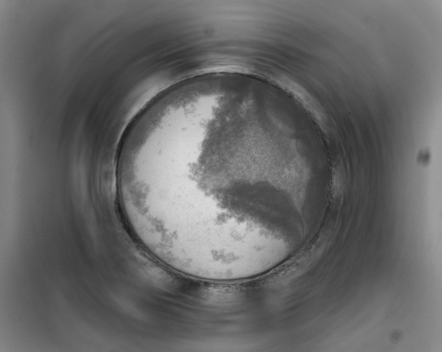 X0000101151274200807110957