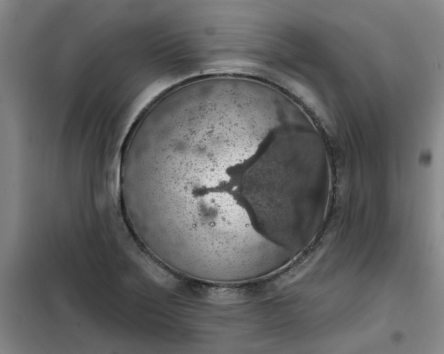 X0000101151275200807110957