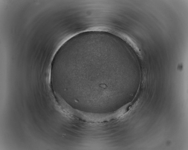 X0000101151276200807110957