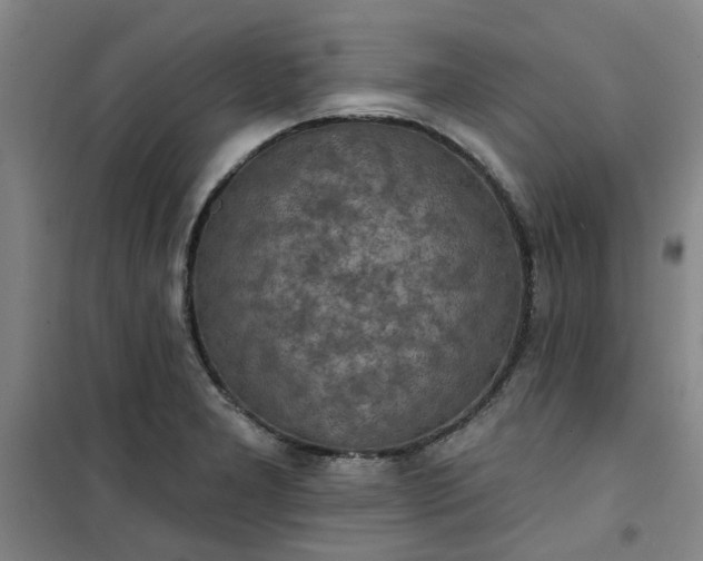 X0000101151277200807110957