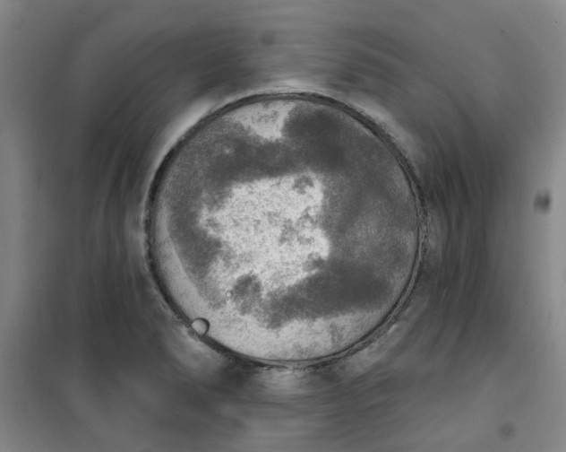 X0000101151278200807110957