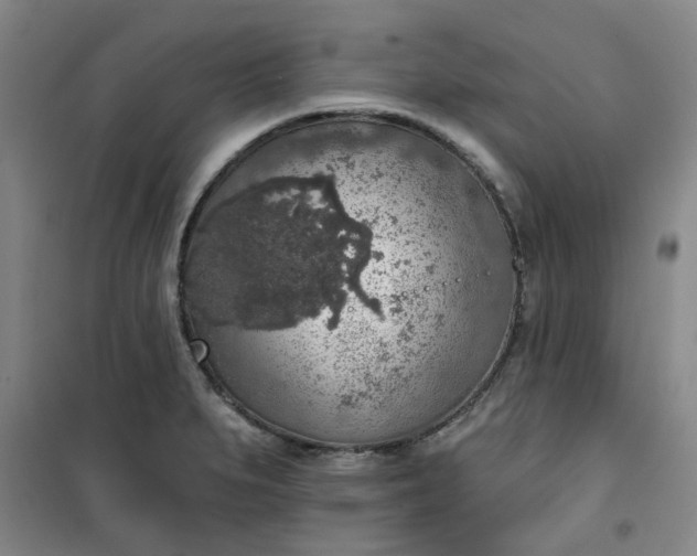 X0000101151279200807110957