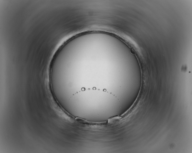 X0000101151280200807110957