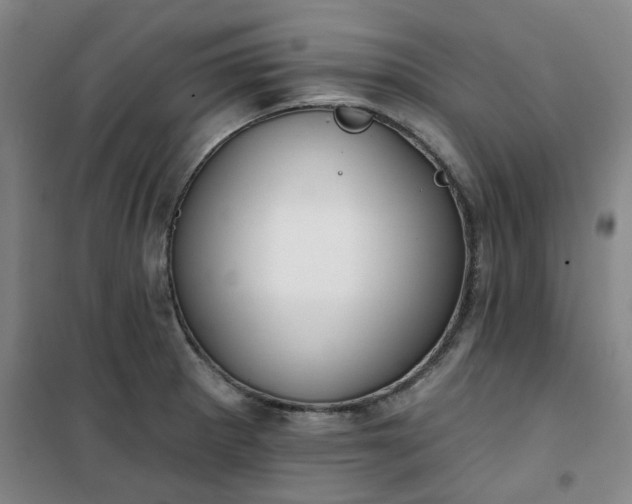 X0000101151281200807110957