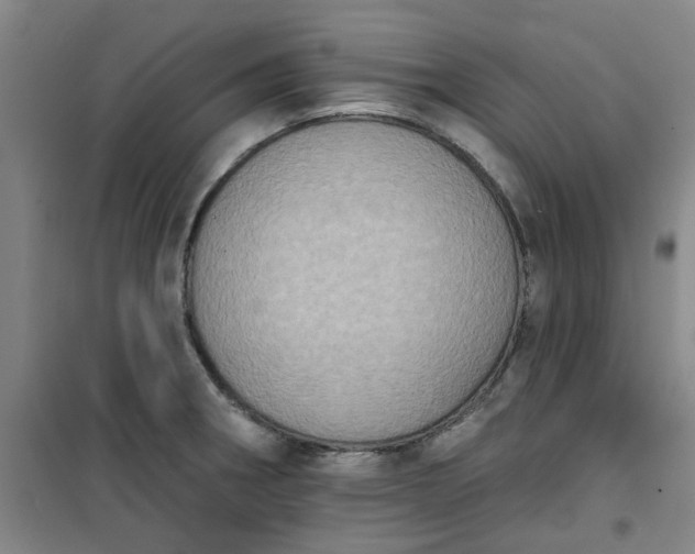 X0000101151282200807110957