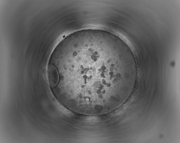 X0000101151283200807110957