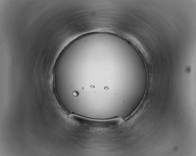 X0000101151284200807110957