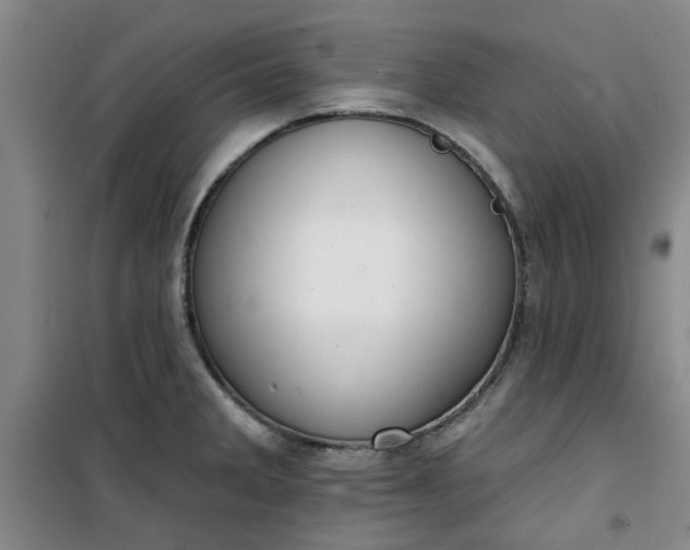 X0000101151285200807110957