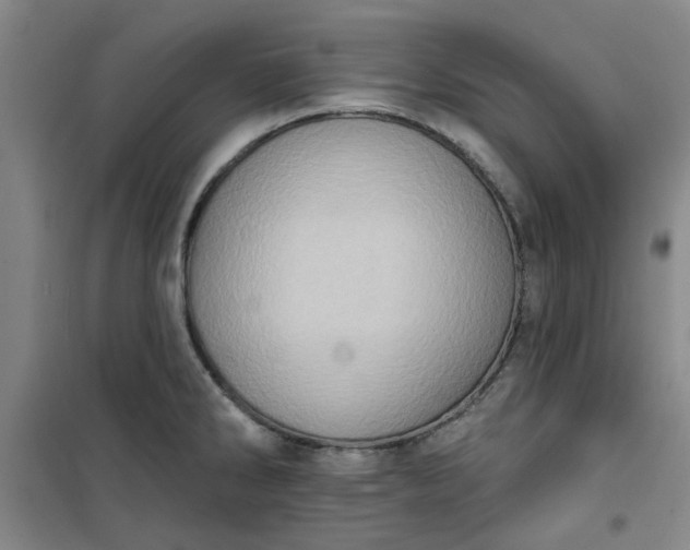 X0000101151286200807110957