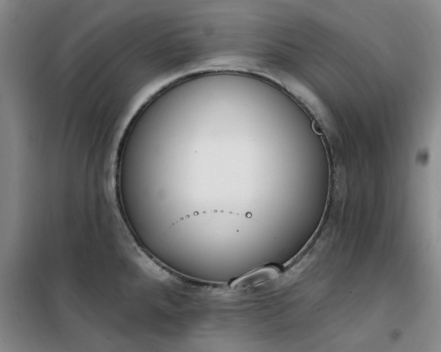 X0000101151288200807110957