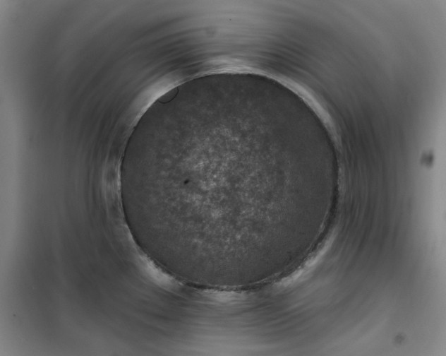 X0000101151289200807110957