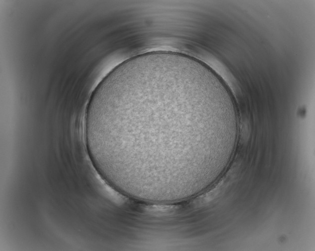 X0000101151290200807110957