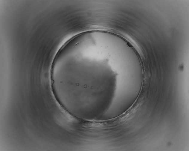 X0000101151291200807110957