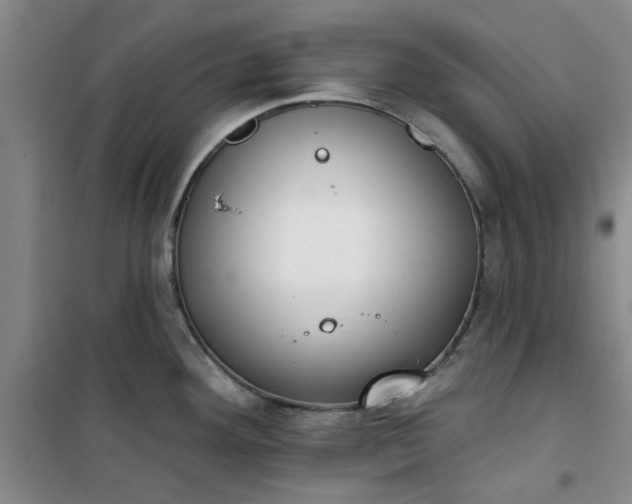 X0000101151292200807110957