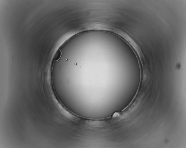 X0000101151293200807110957