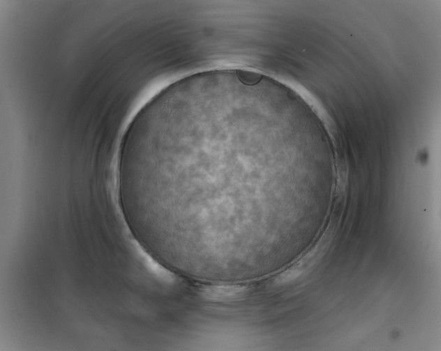 X0000101151294200807110957