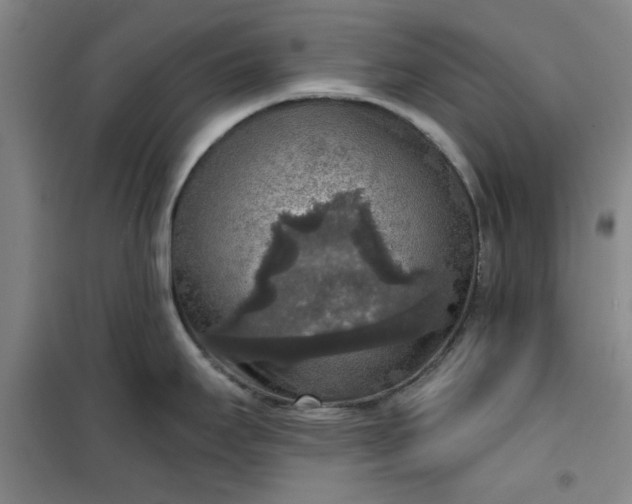 X0000101151295200807110957