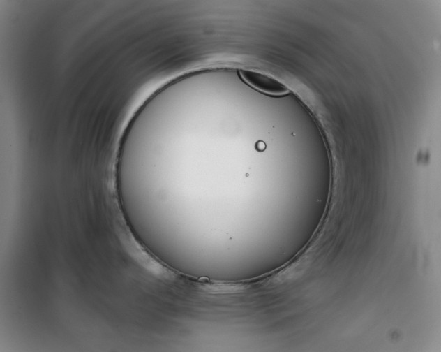 X0000101151296200807110957