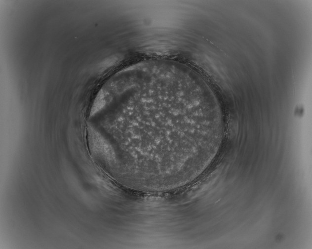 X0000101151297200807110956