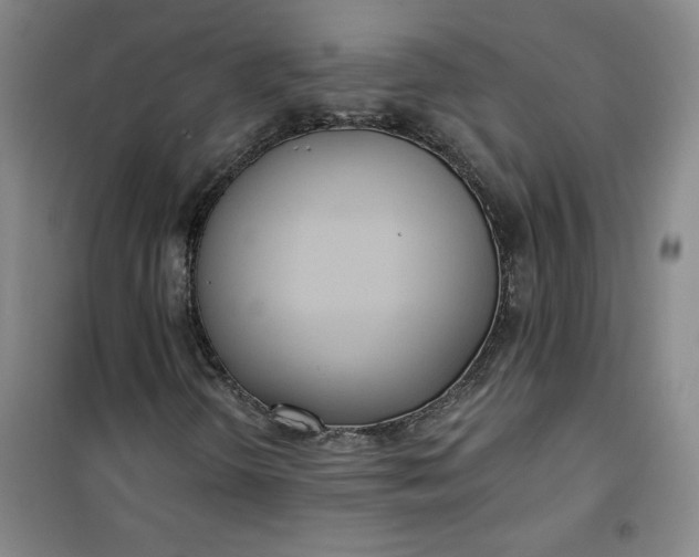 X0000101151298200807110956