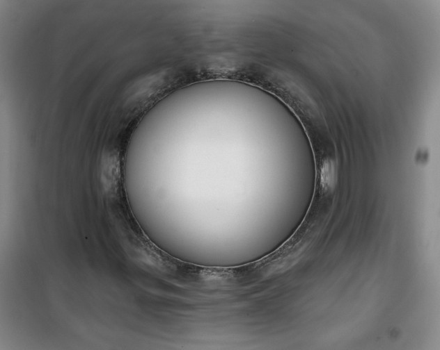 X0000101151299200807110956