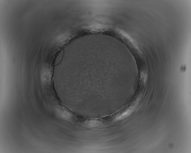 X0000101151300200807110956