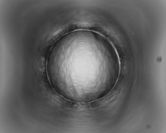 X0000101151301200807110956