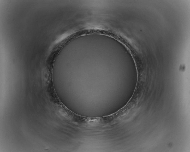 X0000101151303200807110956