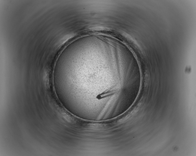 X0000101151305200807110956